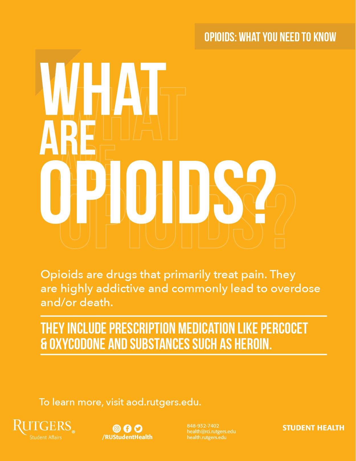 What are Opioids?